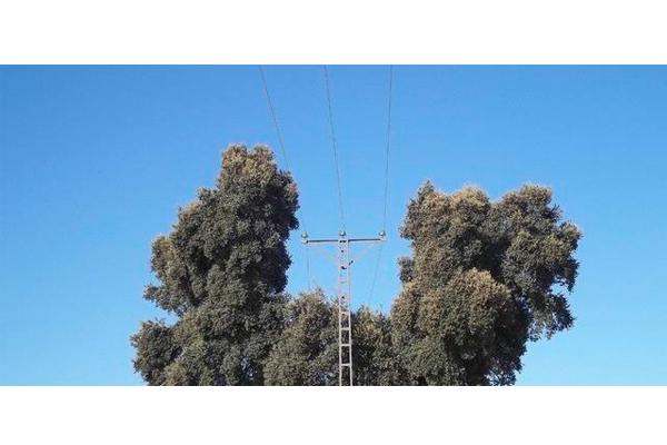 FCC Industrial wins the contract for the burying of the medium voltage power line in the “Las Tablas de Daimiel” National Park, in Ciudad Real