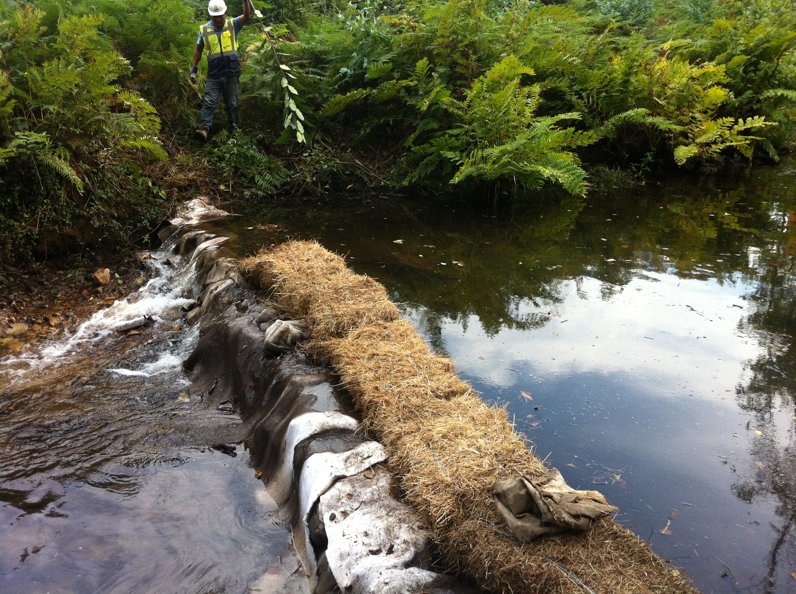 Environmental protection straw